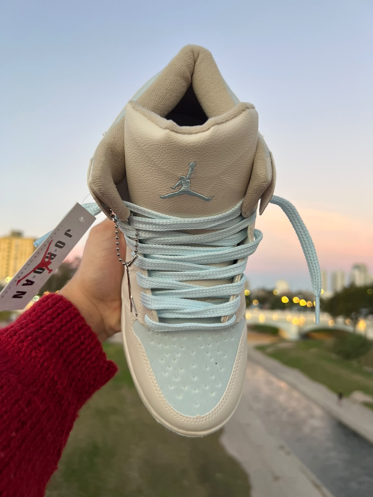 nike jordan mid 1