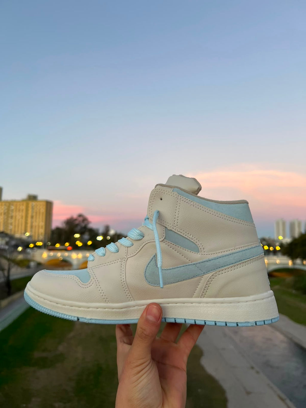 nike jordan mid 1