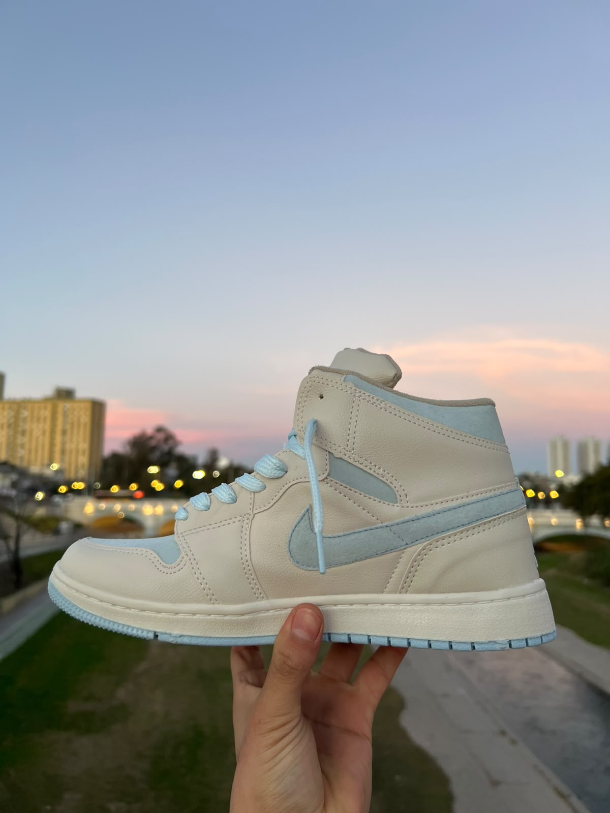 nike jordan mid 1