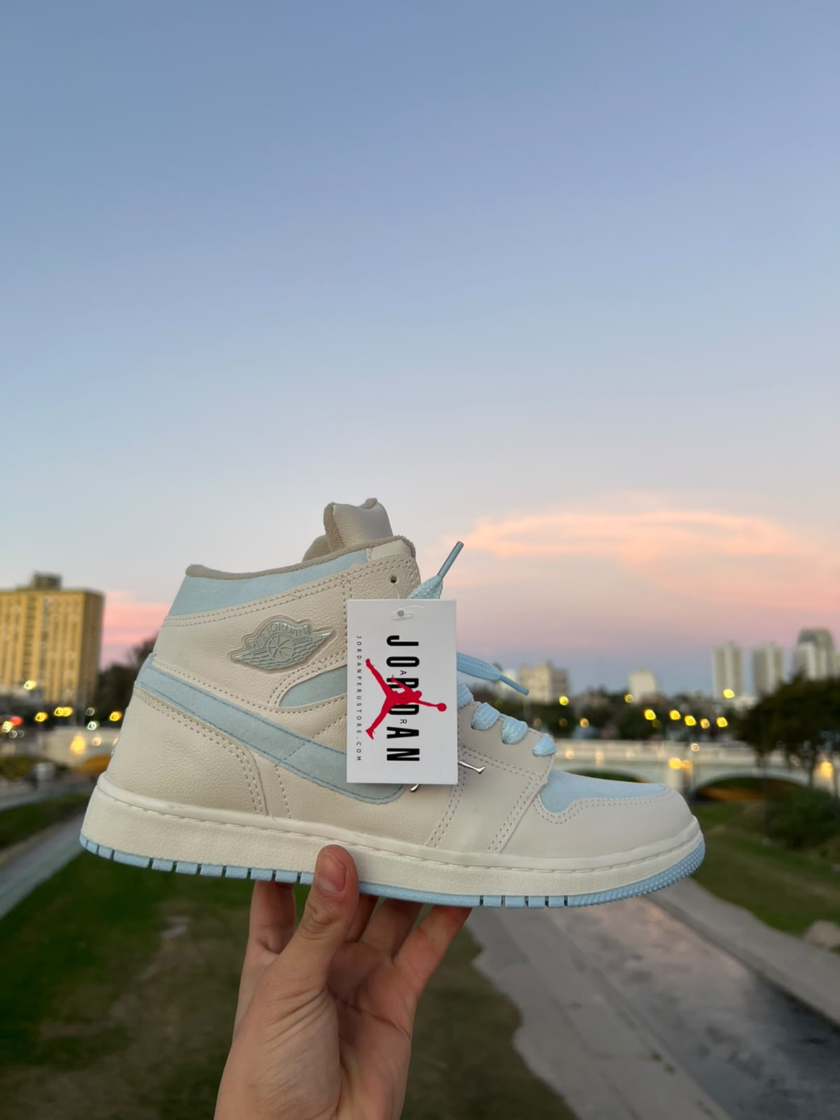 nike jordan mid 1
